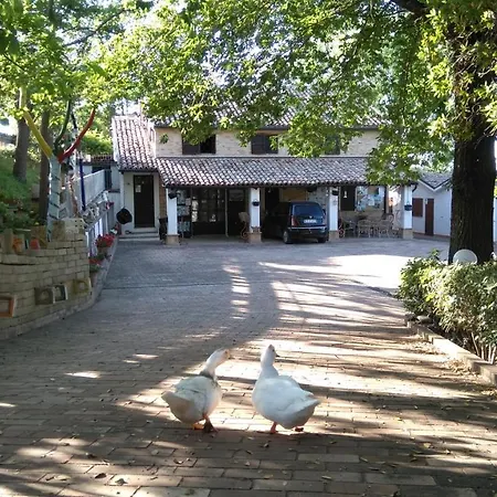 Casale Barbagianni *