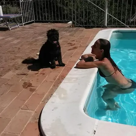 Casale Barbagianni *